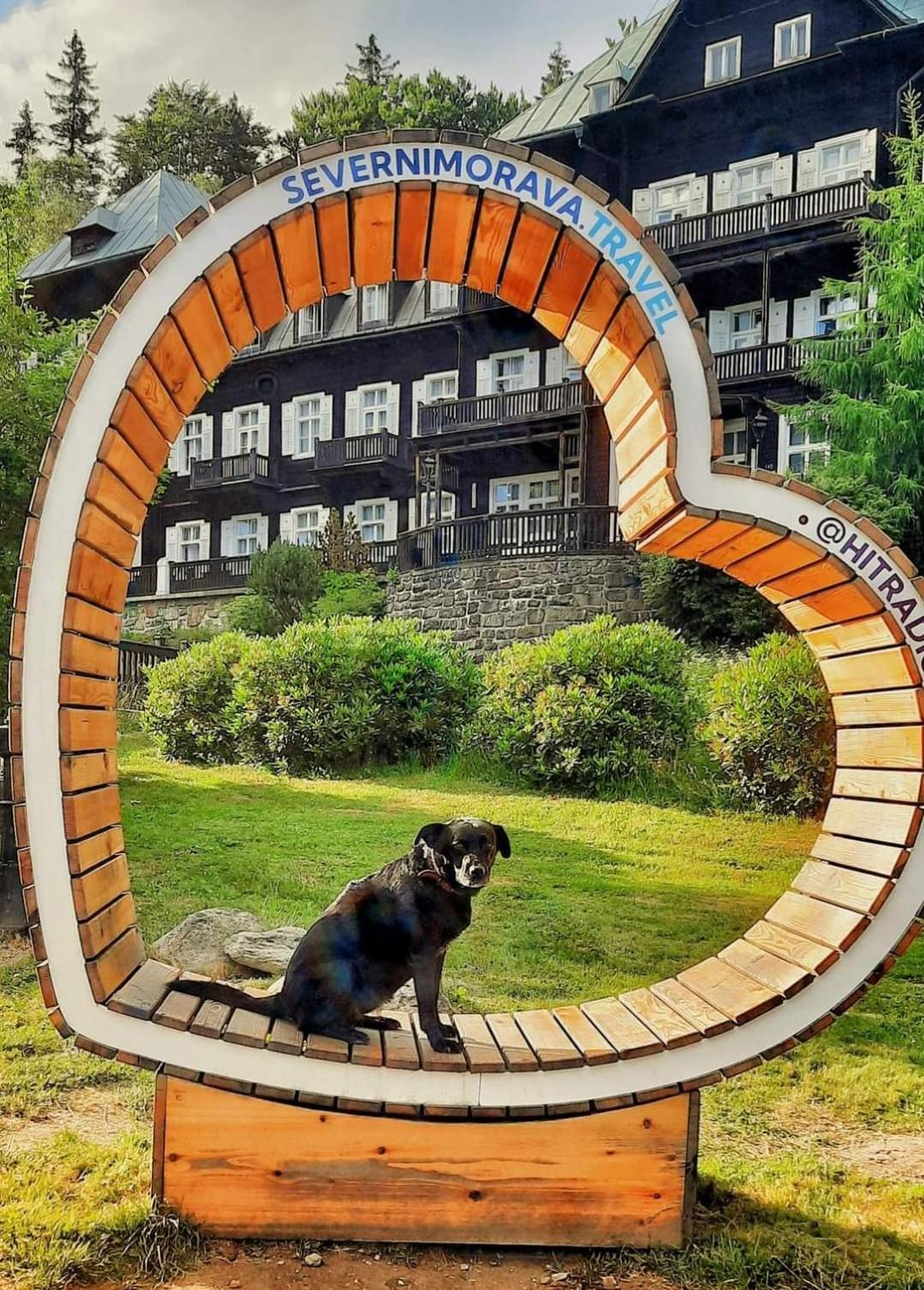 Apartman Pod Smrcinou Vaclavov u Bruntalu Extérieur photo